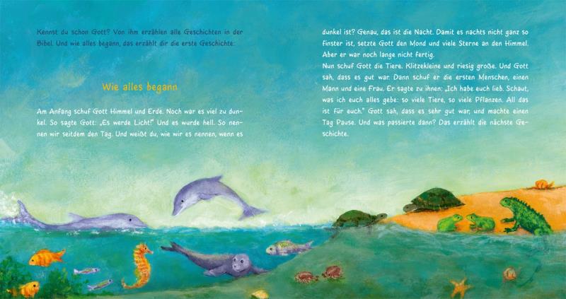 Kinderbibel für die Kleinsten (Pappbilderbuch)