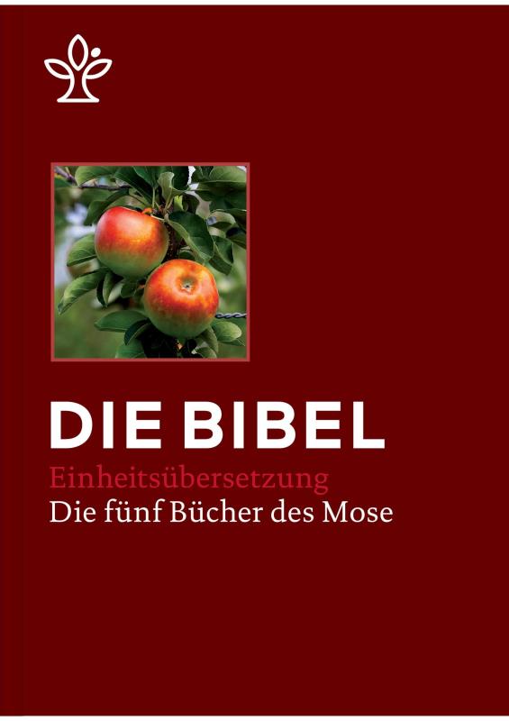 Bibel in 5 Einzelbüchern in Geschenkkassette - Großdruck