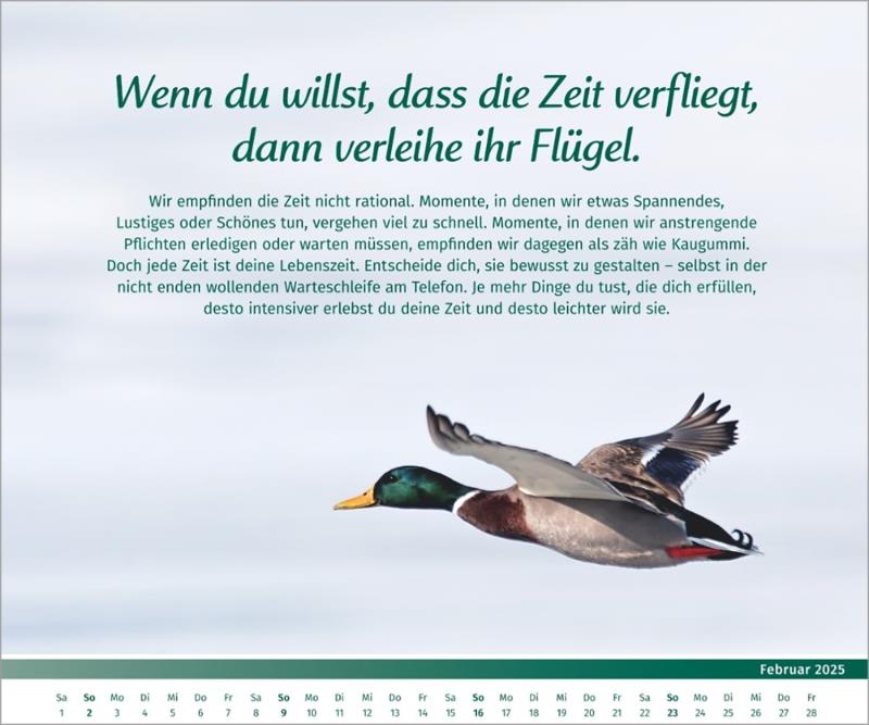 Der Lebensfreude-Inspirationen-Kalender 2025