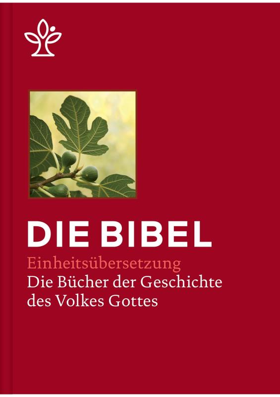 Bibel in 5 Einzelbüchern in Geschenkkassette - Großdruck